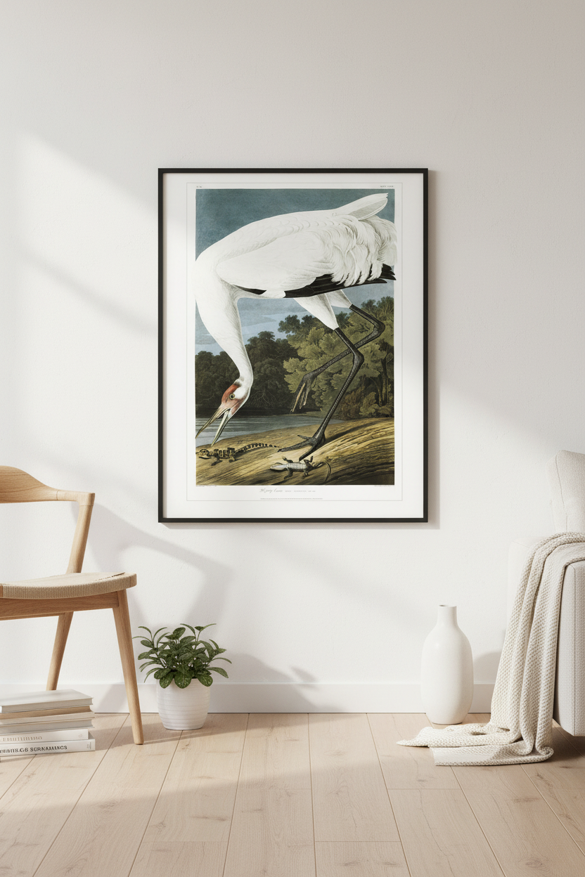 Whooping Crane i inredning