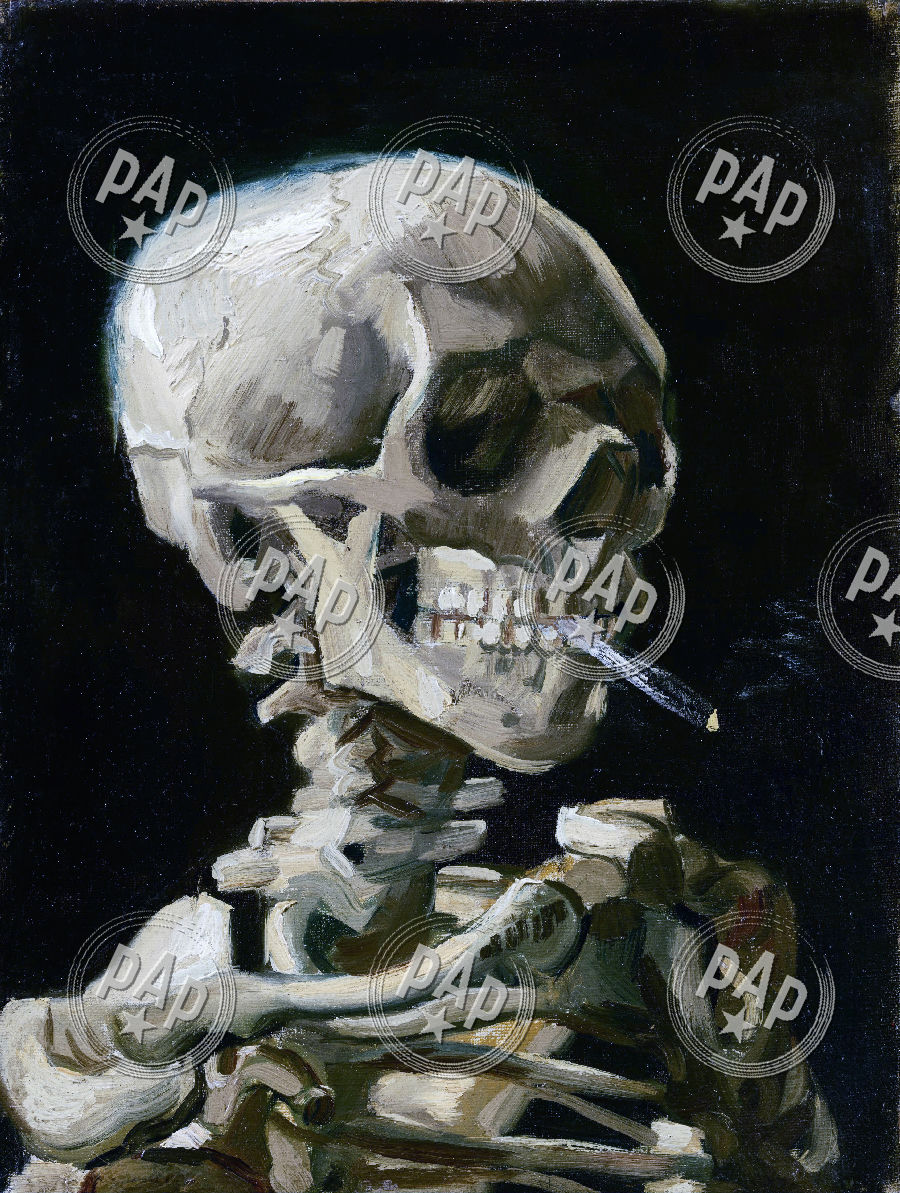 6 cigarettes a day Drug Facts 6 cigarettes a day Drug Facts